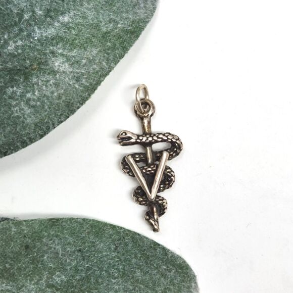 Sterling Vet Veterinarian Snake Pendant Charm - Picture 1 of 4